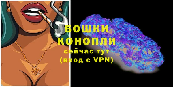 гашик Аркадак