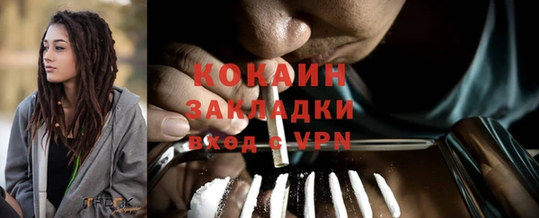 гашик Аркадак