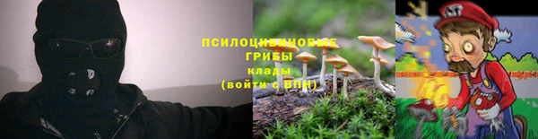 гашик Аркадак