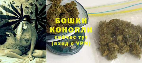 гашик Аркадак
