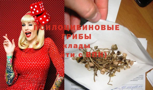 герыч Арсеньев