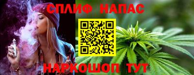 метадон Кингисепп