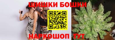 индика Славгород