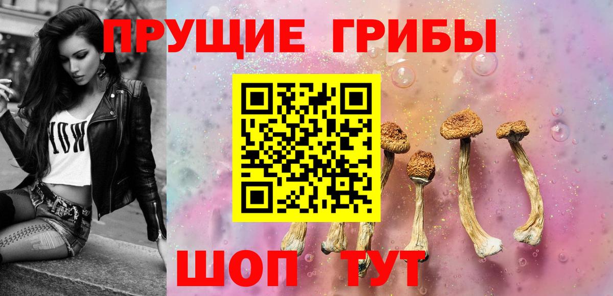 Галлюциногенные грибы MAGIC MUSHROOMS  Псилоцибиновые грибы мицелий  Вход с VPN  Глазов 